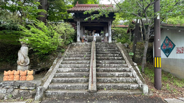 栖月山雲林寺, 栖月山, 雲林寺, 猫寺, 猫, 寺, 仏教, 臨済宗, 萩市, 萩, 山口県, 山口, 日本