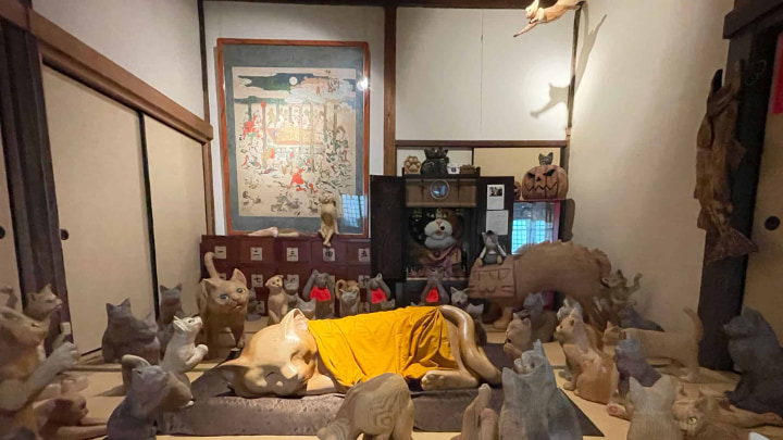 栖月山雲林寺, 栖月山, 雲林寺, 猫寺, 猫, 寺, 仏教, 臨済宗, 萩市, 萩, 山口県, 山口, 日本