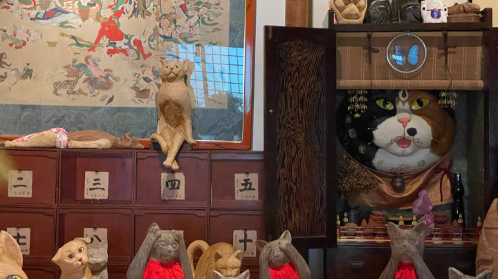 栖月山雲林寺, 栖月山, 雲林寺, 猫寺, 猫, 寺, 仏教, 臨済宗, 萩市, 萩, 山口県, 山口, 日本