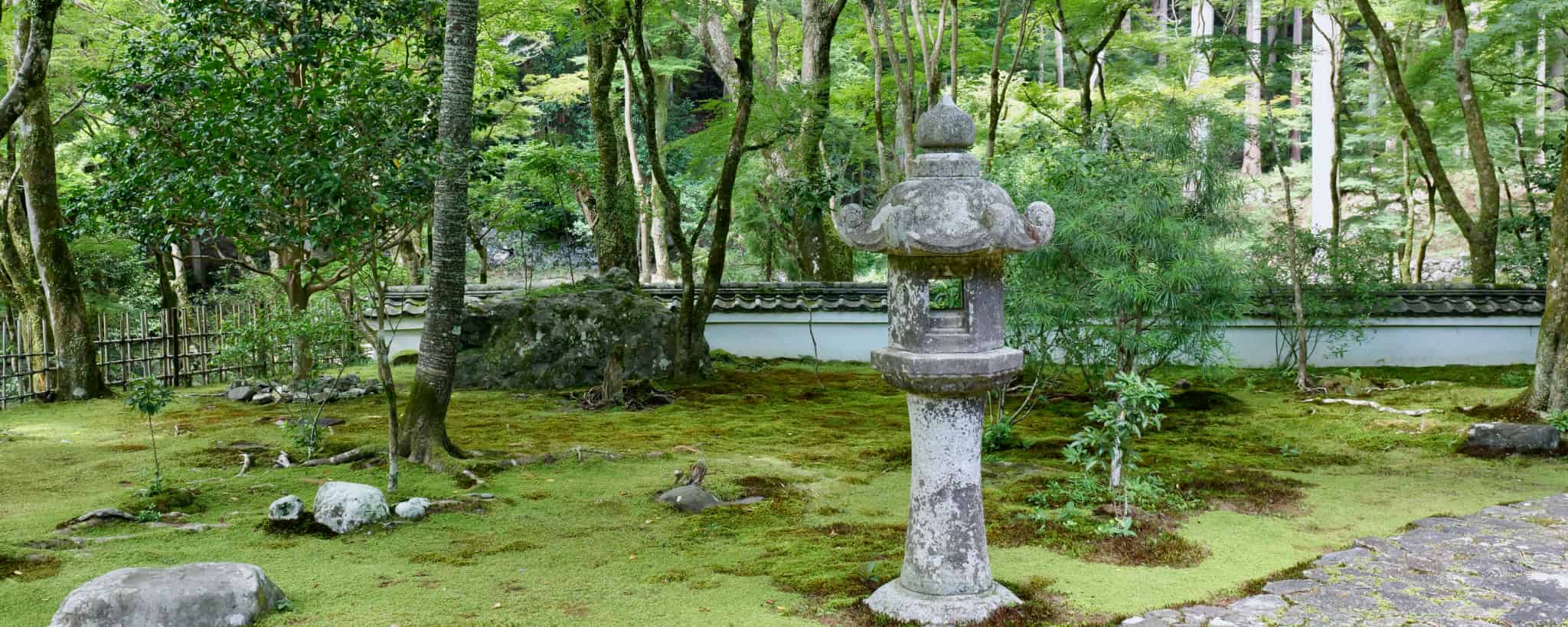 京都府, 京都, 日本, 関西地方, 関西, 日本旅, 日本観光, 日本茶, 抹茶, 緑茶, 芸者, 芸妓, 舞妓, 伝統