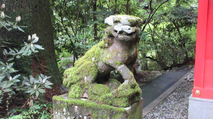 箱根神社, 神社, 神道, 箱根町, 箱根, 神奈川県, 神奈川, 日本