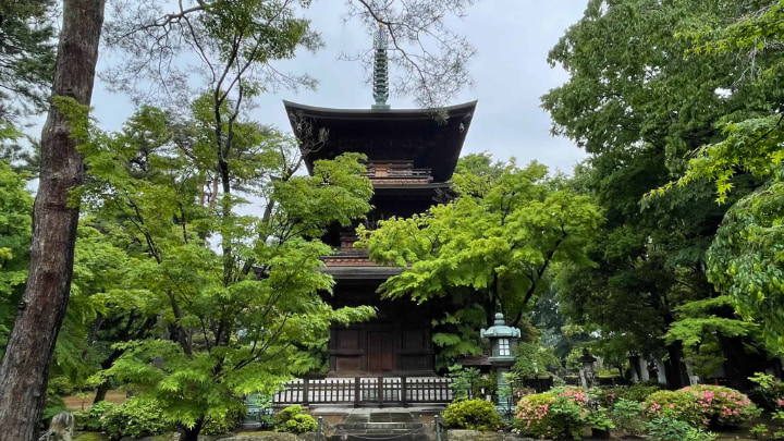 大谿山豪徳寺, 大谿山, 豪徳寺, 世田谷区, 寺, 社寺, 招き猫, 伝統工芸品, 伝統文化, 伝統, 東京都, 東京, 日本