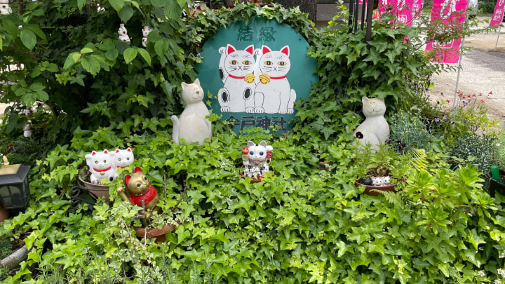 Imado Shrine, Shrine, Shinto, Taito Ward, Maneki-neko, Traditional Craft, Traditional Culture, Tradition, Tokyo Metropolis, Tokyo, Japan