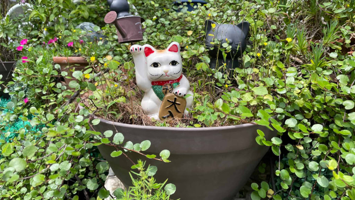 Imado Shrine, Shrine, Shinto, Taito Ward, Maneki-neko, Traditional Craft, Traditional Culture, Tradition, Tokyo Metropolis, Tokyo, Japan