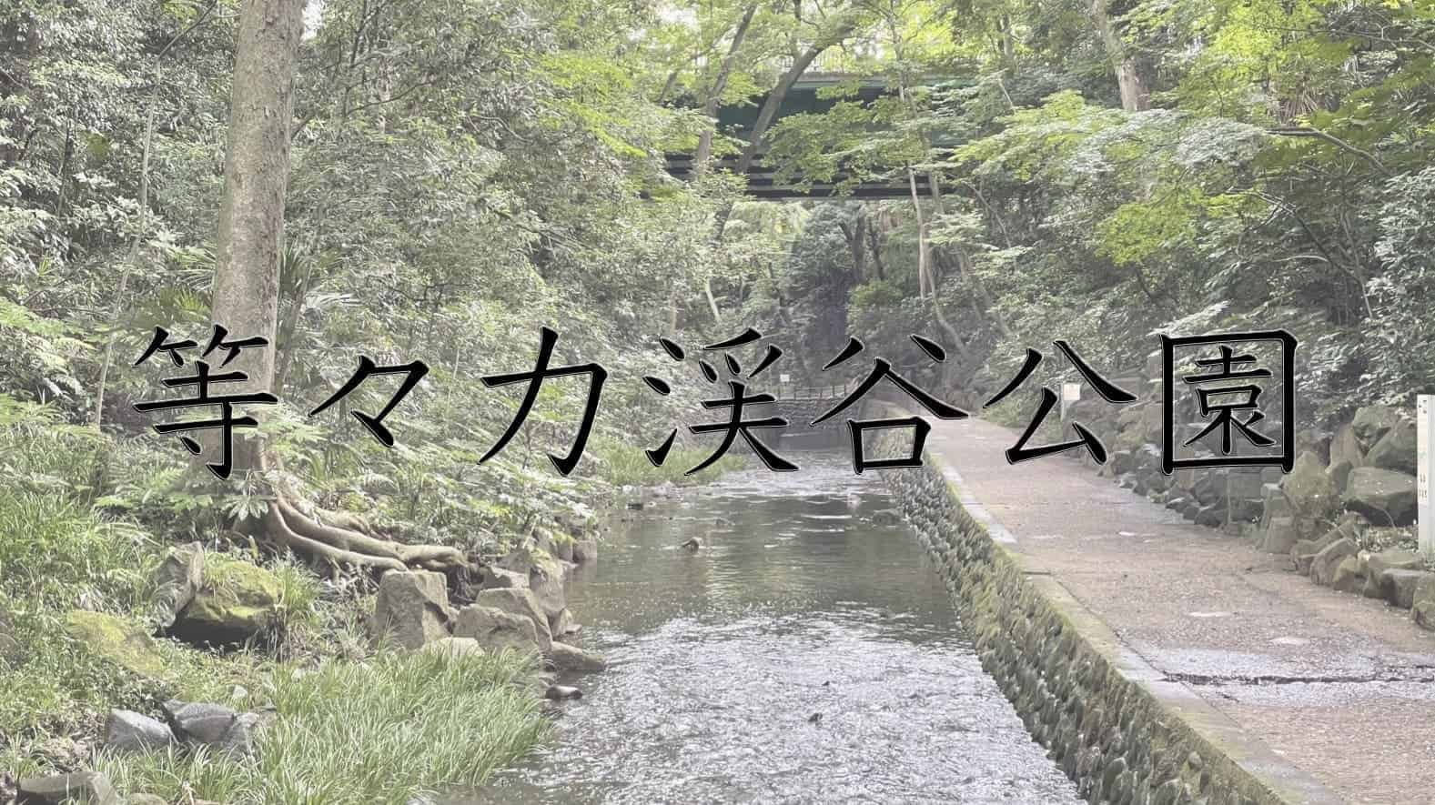 等々力渓谷公園, 渓谷, 公園, 東京都, 東京, 日本