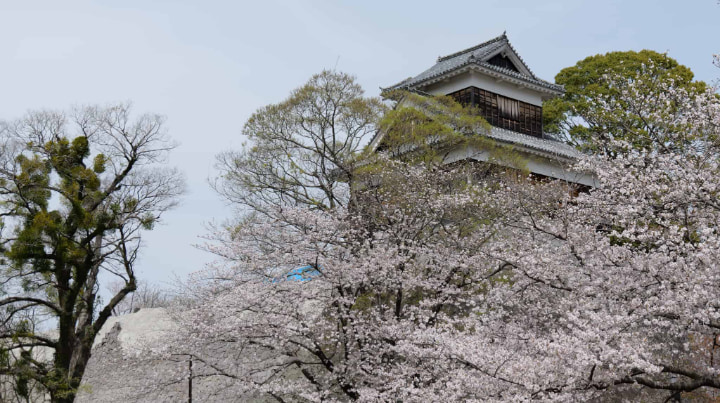熊本城, 熊本市, 熊本県, 熊本, 加藤清正, 城, 戦争, お土産, 名物, 日本