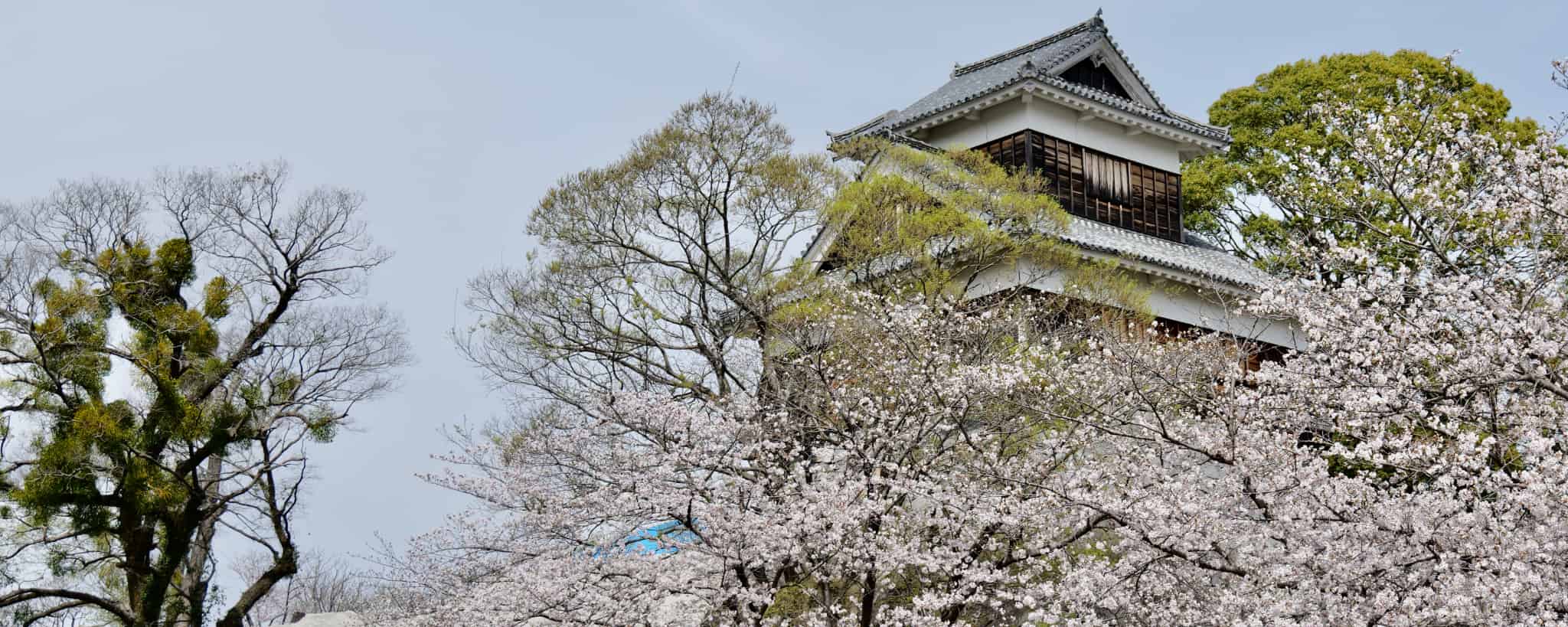 Kumamoto Prefecture, Kumamoto, Kyushu Region, Kyushu, Japan, Japan Trip, Sightseeing in Japan, Kumamon, Pork Bone Ramen, Ramen