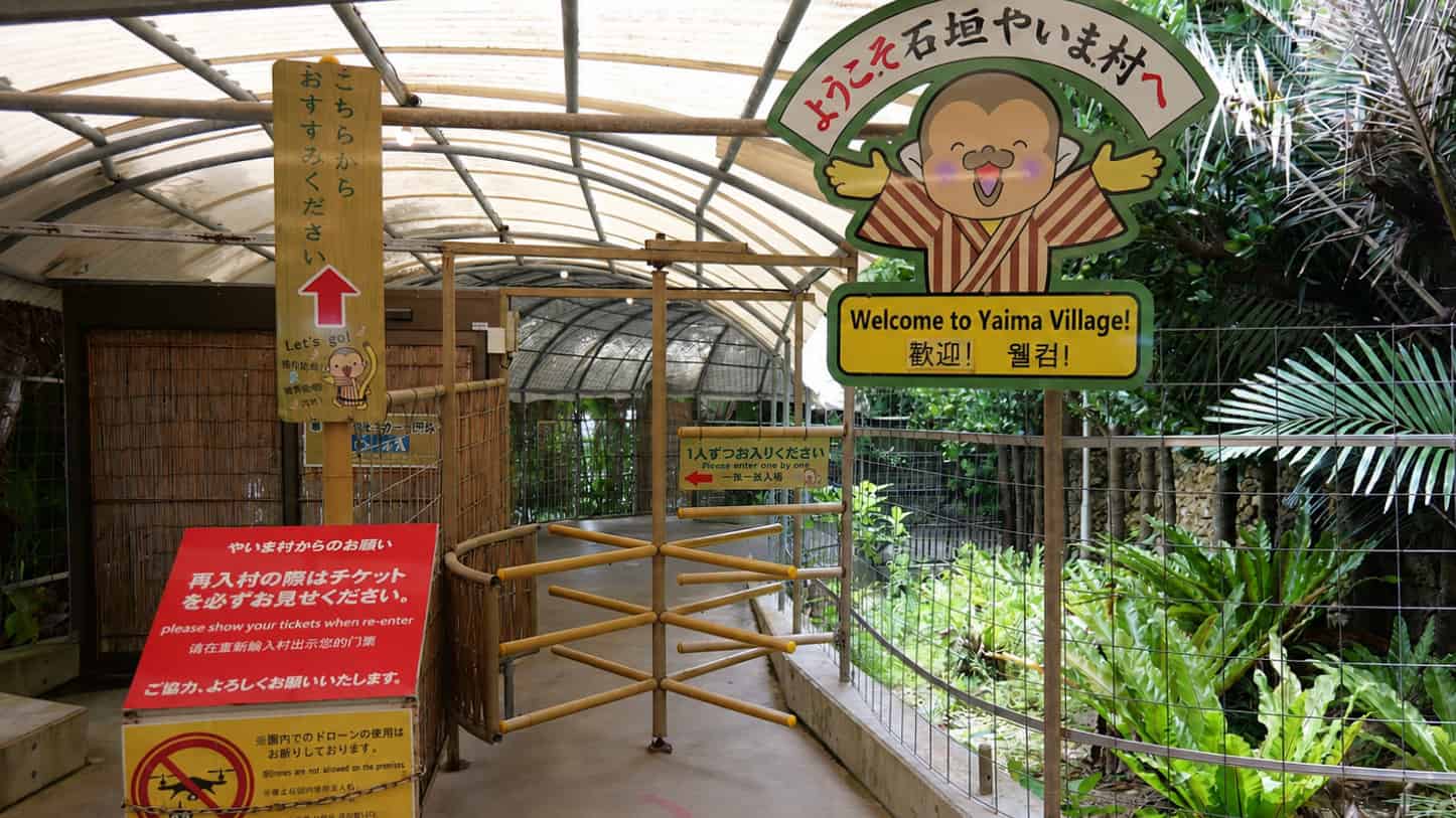 Ishigaki Yaima Village, Sightseeing, Ryukyu Traditional House, Traditional House, Ishigaki Island, Kingdom Of Ryukyu, Ryukyu, Kingdom, Tropical Paradise, Tropical Island, Kyushu Region, Kyushu, Okinawa Prefecture, Okinawa, Japan