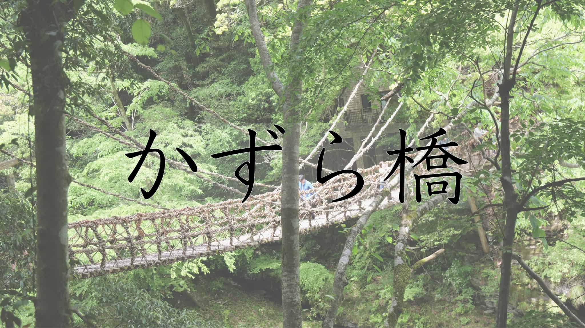 かずら橋, 葛, 橋, 祖谷, 徳島県, 徳島, 日本