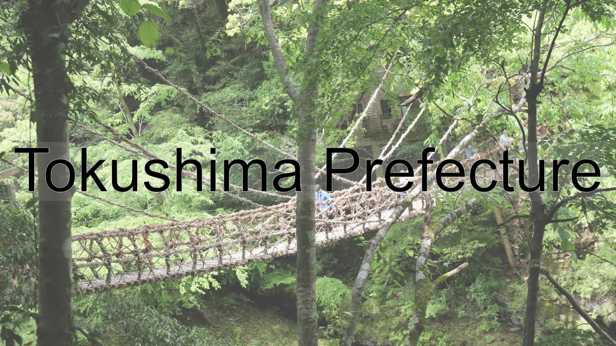 Tokushima Prefecture, Tokushima, Shikoku Region, Shikoku, Iya, Japan, Tokushima Ramen